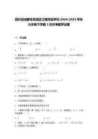 四川省成都市双流区立格实验学校2024-2025学年九年级下学期3月月考数学试卷（含答案解析）