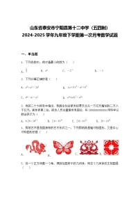 山东省泰安市宁阳县第十二中学（五四制）2024-2025学年九年级下学期第一次月考数学试题（含答案解析）