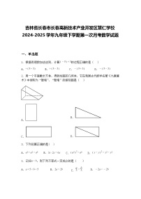 吉林省长春市长春高新技术产业开发区慧仁学校2024-2025学年九年级下学期第一次月考数学试题（含答案解析）