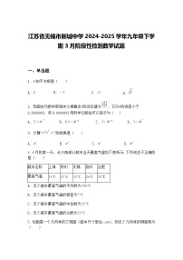 江苏省无锡市新城中学2024-2025学年九年级下学期3月阶段性检测数学试题（含答案解析）