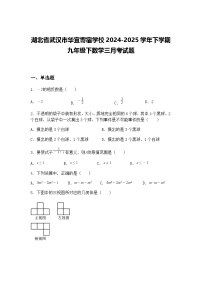 湖北省武汉市华宜寄宿学校2024-2025学年下学期九年级下数学三月考试题（含答案解析）