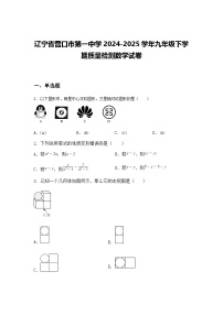 辽宁省营口市第一中学2024-2025学年九年级下学期质量检测数学试卷（含答案解析）