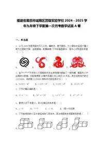 福建省莆田市城厢区顶墩实验学校2024－2025学年九年级下学期第一次月考数学试题A卷（含答案解析）