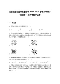 江苏省连云港市东港中学2024-2025学年九年级下学期第一 次月考数学试卷（含答案解析）