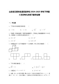 山东省日照市东港实验学校2024-2025学年下学期3月月考九年级下数学试卷（含答案解析）