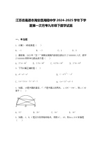 江苏省南通市海安县海陵中学2024-2025学年下学期第一次月考九年级下数学试题（含答案解析）