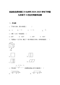 安徽省合肥市第三十九中学2024-2025学年下学期九年级下4月份月考数学试卷（含答案解析）
