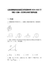 山东省聊城市东昌府区文轩初级中学2024-2025下学期3月第一次月考九年级下数学试题（含答案解析）
