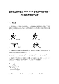 甘肃省兰州市某校2024-2025学年九年级下学期3月阶段性考查数学试卷（含答案解析）