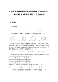 山东省青岛西海岸新区实验初级中学2024—2025学年下学期九年级下 数学3月月考试题（含答案解析）