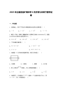 2025年云南省地矿局中学4月月考九年级下数学试卷（含答案解析）