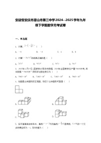 安徽省安庆市潜山市第三中学2024--2025学年九年级下学期数学月考试卷（含答案解析）