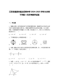江苏省南通市能达初级中学2024-2025学年九年级下学期3月月考数学试题（含答案解析）