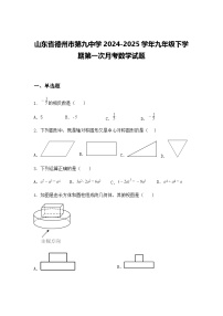 山东省德州市第九中学2024-2025学年九年级下学期第一次月考数学试题（含答案解析）