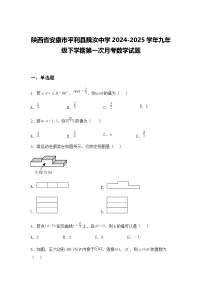 陕西省安康市平利县魏汝中学2024-2025学年九年级下学期第一次月考数学试题（含答案解析）