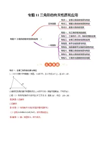 中考数学 专题练习11三角形的有关性质和应用（河南专用）（解析版）