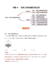 中考数学 专题练习16 锐角三角形函数及其应用（河南专用）（解析版）
