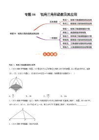 中考数学 专题练习16 锐角三角形函数及其应用（河南专用）（原卷版）
