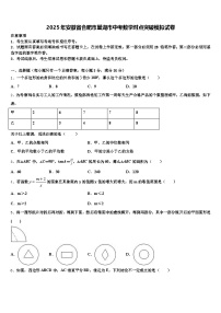 2025年安徽省合肥市巢湖市中考数学对点突破模拟试卷含解析