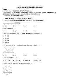 2025年安徽省六安市寿县中考数学猜题卷含解析