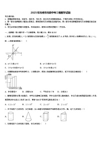 2025年沧州市沧县中考三模数学试题含解析