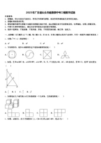 2025年广东省汕头市南澳县中考三模数学试题含解析