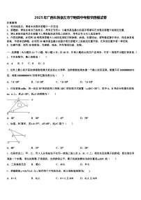 2025年广西壮族崇左市宁明县中考数学四模试卷含解析