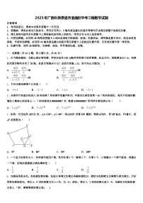 2025年广西壮族贵港市港南区中考三模数学试题含解析