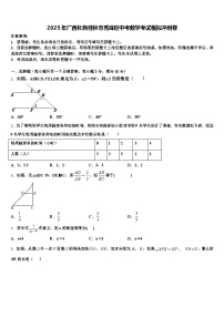 2025年广西壮族桂林市秀峰区中考数学考试模拟冲刺卷含解析
