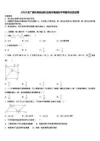 2025年广西壮族自治区北海市海城区中考数学仿真试卷含解析