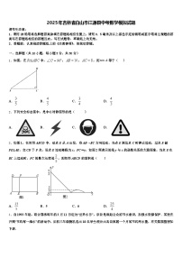 2025年吉林省白山市江源县中考数学模拟试题含解析