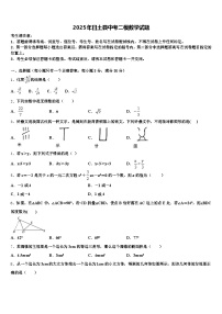 2025年日土县中考二模数学试题含解析