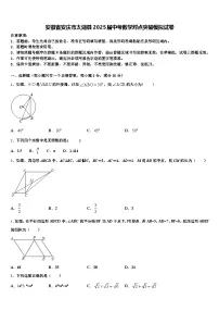 安徽省安庆市太湖县2025届中考数学对点突破模拟试卷含解析