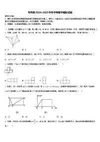 岑巩县2024-2025学年中考数学模拟试题含解析