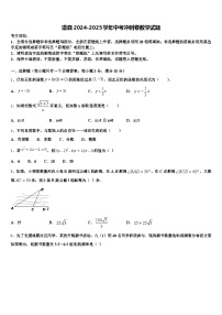 道县2024-2025学年中考冲刺卷数学试题含解析