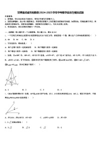 甘肃省武威市民勤县2024-2025学年中考数学适应性模拟试题含解析