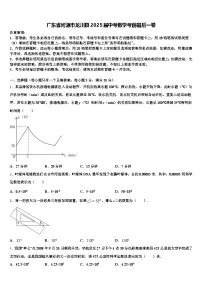 广东省河源市龙川县2025届中考数学考前最后一卷含解析