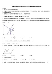 广西壮族自治区贵港市桂平市2025届中考数学押题试卷含解析