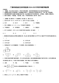 广西壮族自治区玉林市博白县2024-2025学年中考数学模试卷含解析