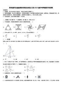 贵州省黔东南南苗族侗族自治州台江县2025届中考押题数学预测卷含解析