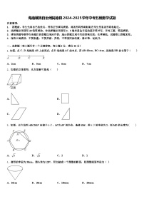 海南藏族自治州同德县2024-2025学年中考五模数学试题含解析