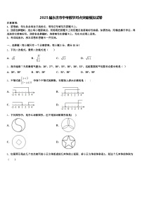 2025届永济市中考数学对点突破模拟试卷含解析