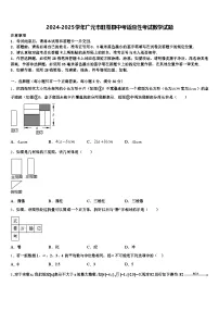 2024-2025学年广元市旺苍县中考适应性考试数学试题含解析