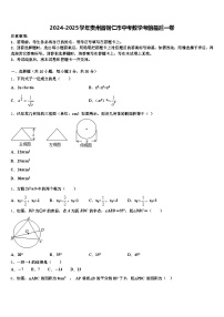 2024-2025学年贵州省铜仁市中考数学考前最后一卷含解析