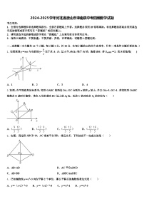 2024-2025学年河北省唐山市滦南县中考四模数学试题含解析