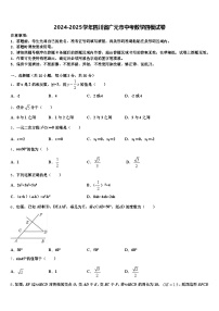 2024-2025学年四川省广元市中考数学四模试卷含解析