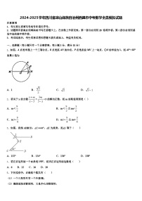 2024-2025学年四川省凉山彝族自治州西昌市中考数学全真模拟试题含解析