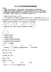 2024-2025学年咸丰县中考数学押题试卷含解析