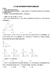 2025届广西壮族柳州市中考数学全真模拟试卷含解析