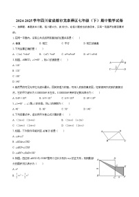 2024-2025学年四川省成都市龙泉驿区七年级（下）期中数学试卷-自定义类型